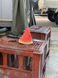 梅雨明けだ！夏だ！スイカの季節だ♪